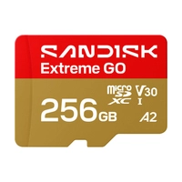 SanDisk EXTREME GO micro SDXC 256 ГБ 240/160 МБ/с UHS-I