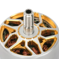 FPV Flash Motor 2406 1950KV (6S) - Gray-Gold