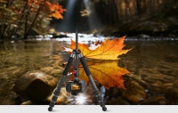 Freewell 5-in-1 Multifunctional Camera Tripod