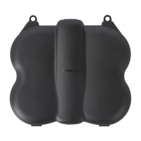 SunnyLife Mini Case with Carabiner for the DJI Neo 2 (Charme)