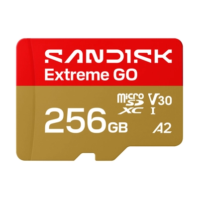 SanDisk EXTREME GO microSDXC 256GB 240/160 MB/s UHS-I