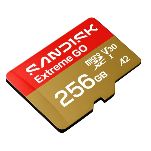 SanDisk EXTREME GO microSDXC 256GB 240/160 MB/s UHS-I